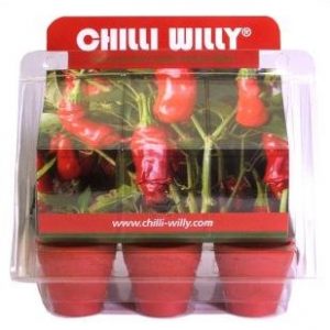 Chilli Willy 6 Pot Kit